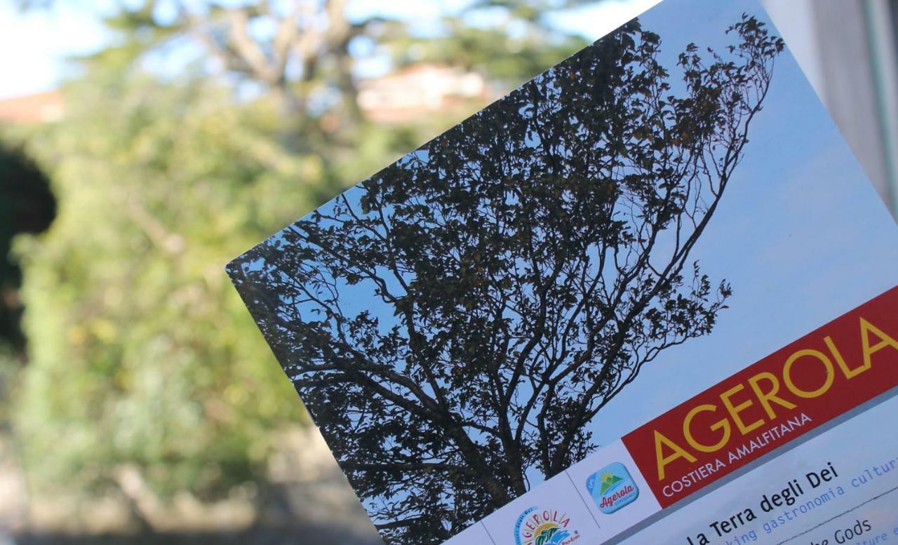 Gli Artisti Διαμέρισμα Agerola Εξωτερικό φωτογραφία